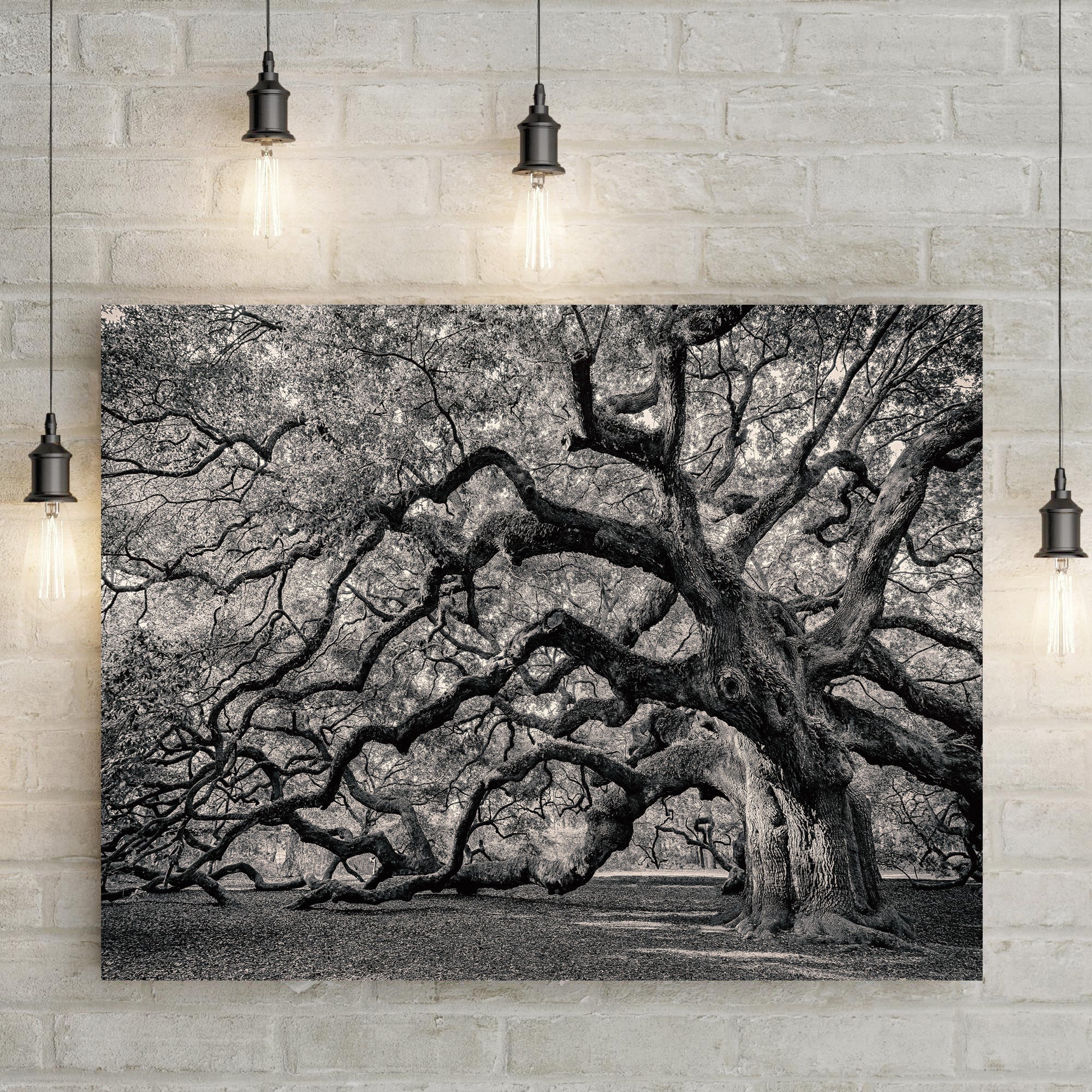 Rooted Shadows