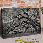 Rooted Shadows