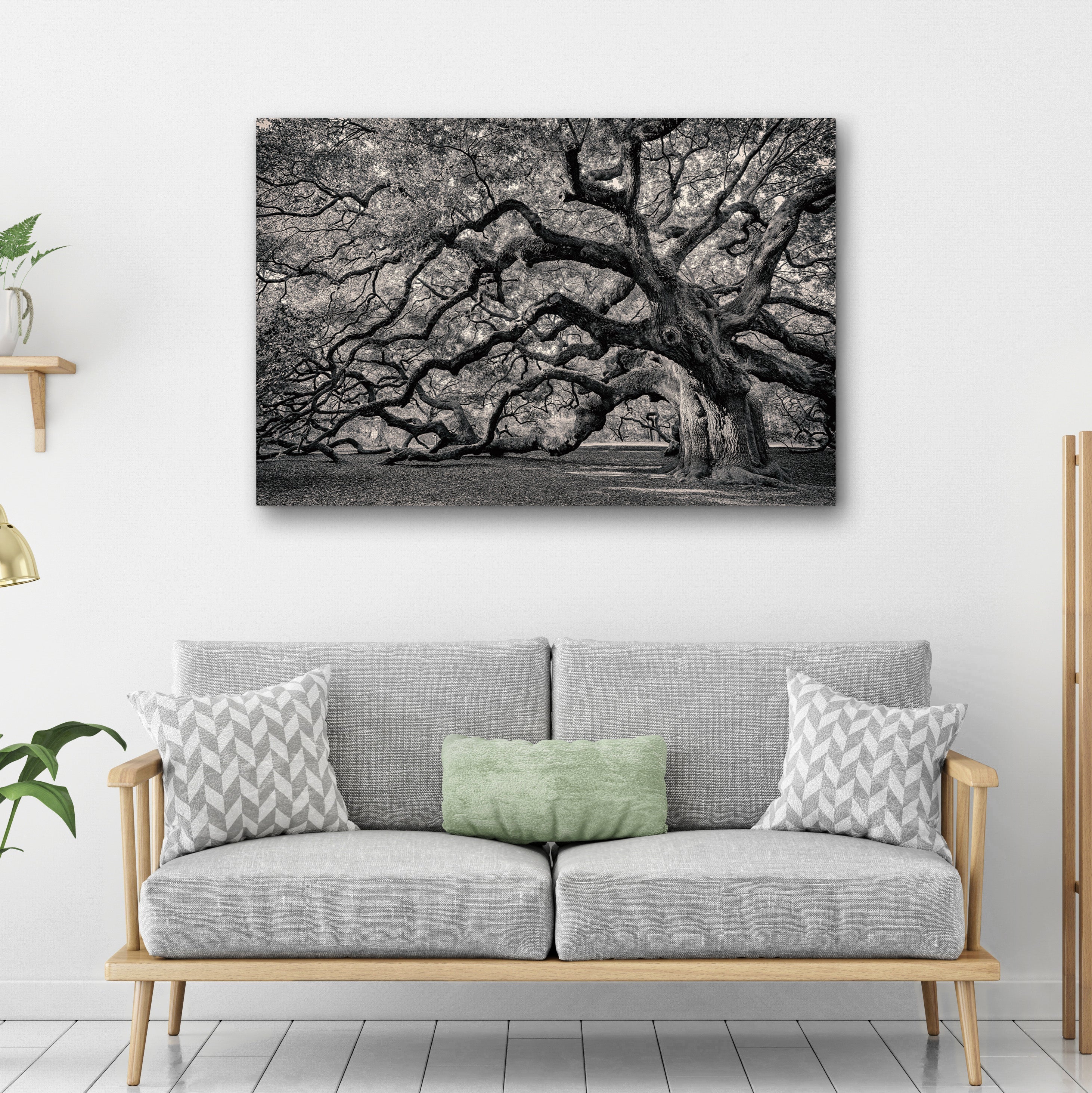 Rooted Shadows