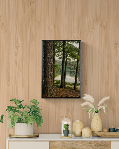 Forest Threshold — Framed Poster