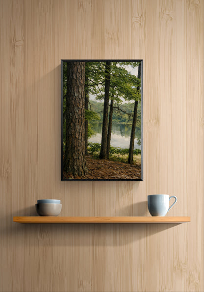 Forest Threshold — Framed Poster
