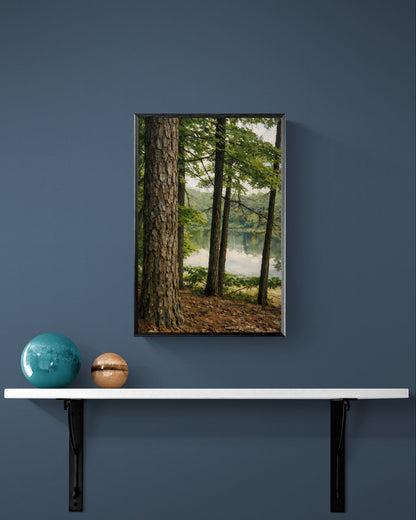 Forest Threshold — Framed Poster